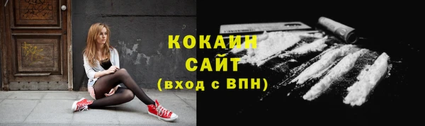дурь Пестово