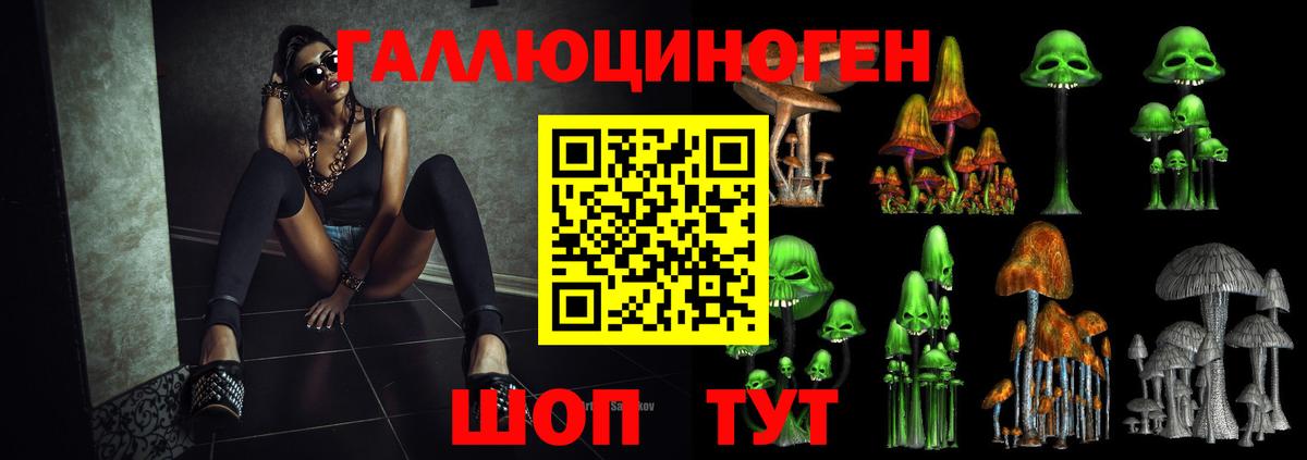 Псилоцибиновые грибы Psilocybine cubensis  Псилоцибиновые грибы Magic Shrooms  Вход с VPN  Великий Новгород 